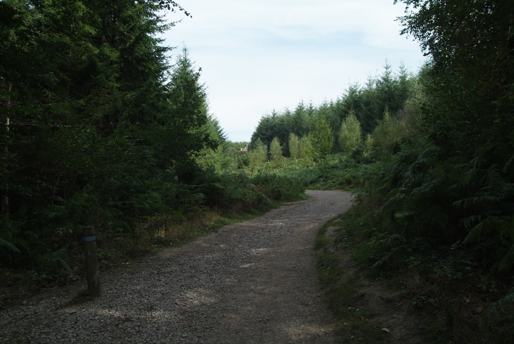 View from the car park