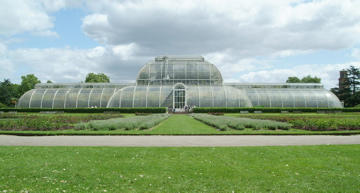 Palm House