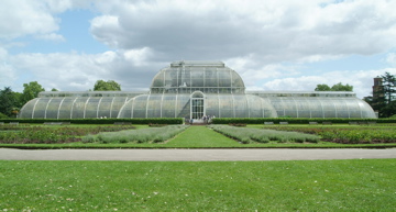 Palm House