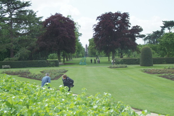 Distant Pagoda