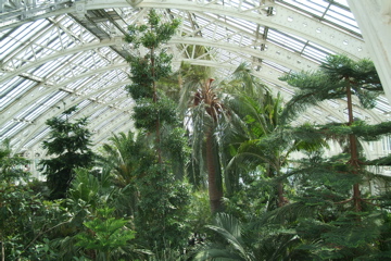 Inside the Temperate House