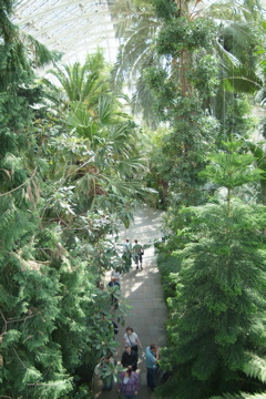 Inside the Temperate House
