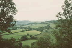 View from Uley Bury