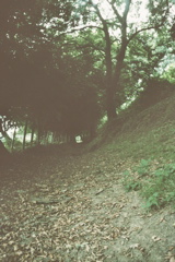 Gloomy path