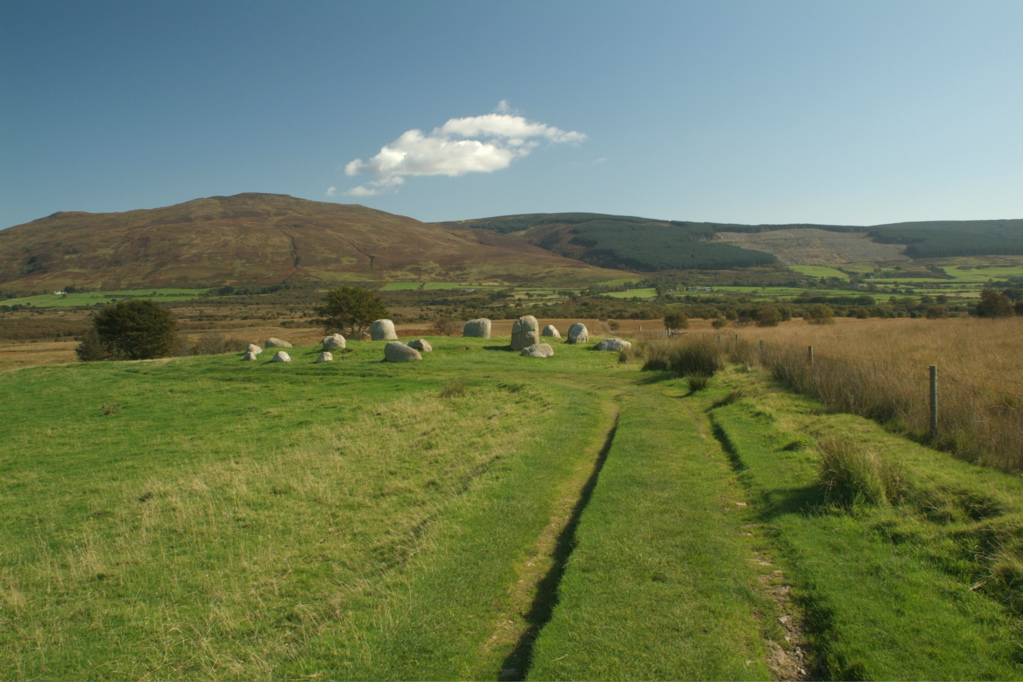 Machrie Moor stones