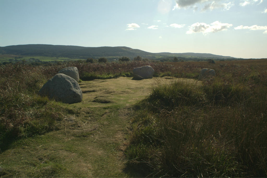 Machrie Moor stones