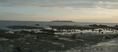 Pladda light house