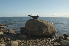 Stone seal