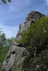 Will leads Apple Arete