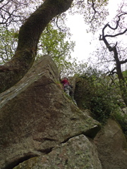 Alyssa leads pitch 1 of "pinnacle buttress"