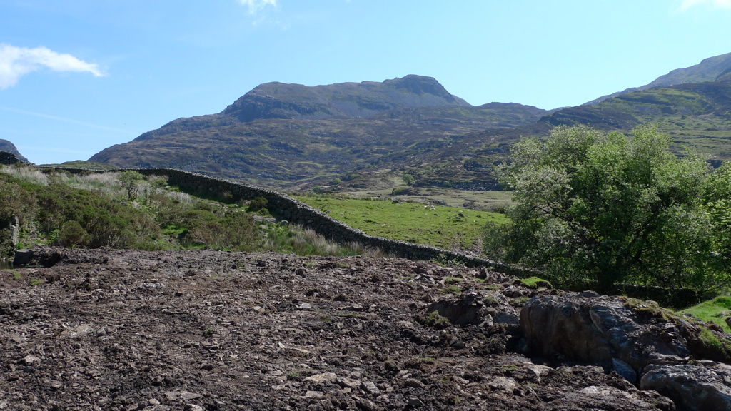 Rhinogs