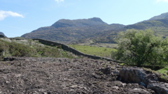 Rhinogs